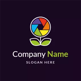 Colorful Logo Colorful Flower Shape and Photography logo design